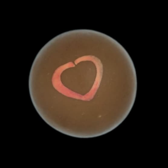 Toasted Brown Butter