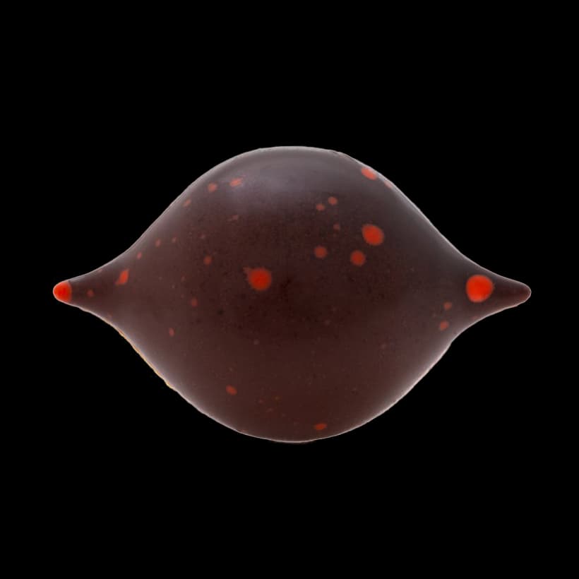 Red Eye